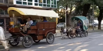 Конвоят на мира премина през Севлиево