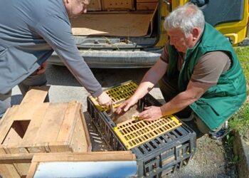 С диви зайци обогатиха ловните ни полета