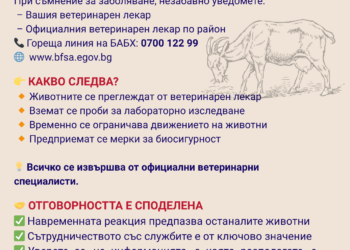 БАБХ установи огнище на заболяването Син език в габровското село Пенковци