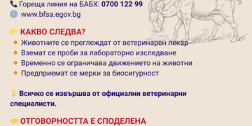 БАБХ установи огнище на заболяването Син език в габровското село Пенковци