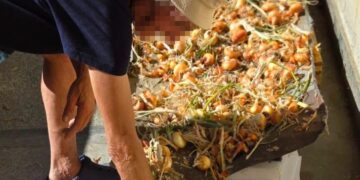 Зеленчуци, отгледани с любов в Държавната психиатрична болница