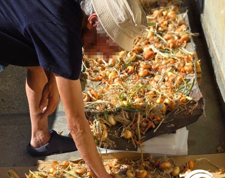 Зеленчуци, отгледани с любов в Държавната психиатрична болница