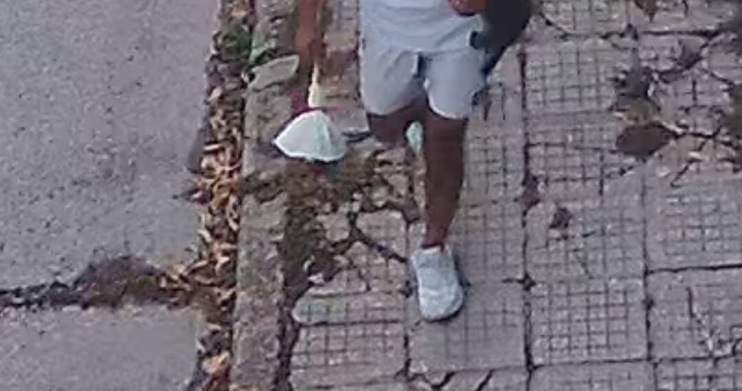 Ужасяващ клип от Севлиево се върти из социалната мрежа