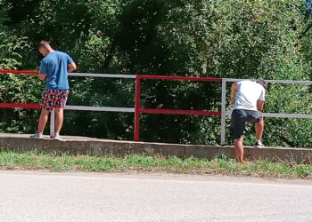 Читалището в помощ на кметството в село Ловнидол