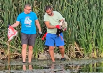 Урок по човечност – деца и татковци спасиха щъркел