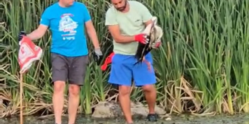 Урок по човечност – деца и татковци спасиха щъркел