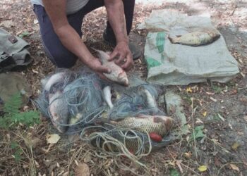 Бракониер за пореден път хвърли мрежи в язовира, пак го изловиха