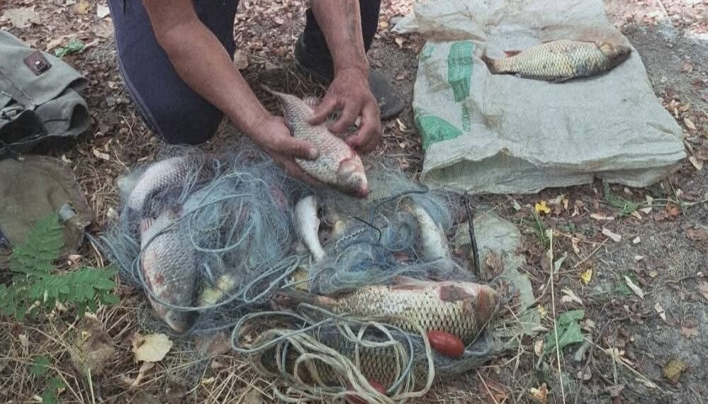 Бракониер за пореден път хвърли мрежи в язовира, пак го изловиха