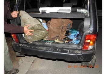 Изловиха трима бракониери на територията на Национален парк “Централен Балкан”