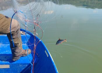 300 м герим в язовира, бракониерите – неизвестни