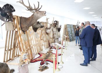 Модерни ловни технологии, трофеи и истории от ловните дружинки – в изложение “Есен 2025”