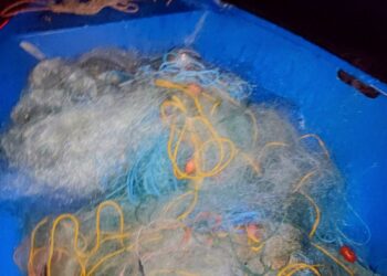 Бракониери останаха без мрежите си