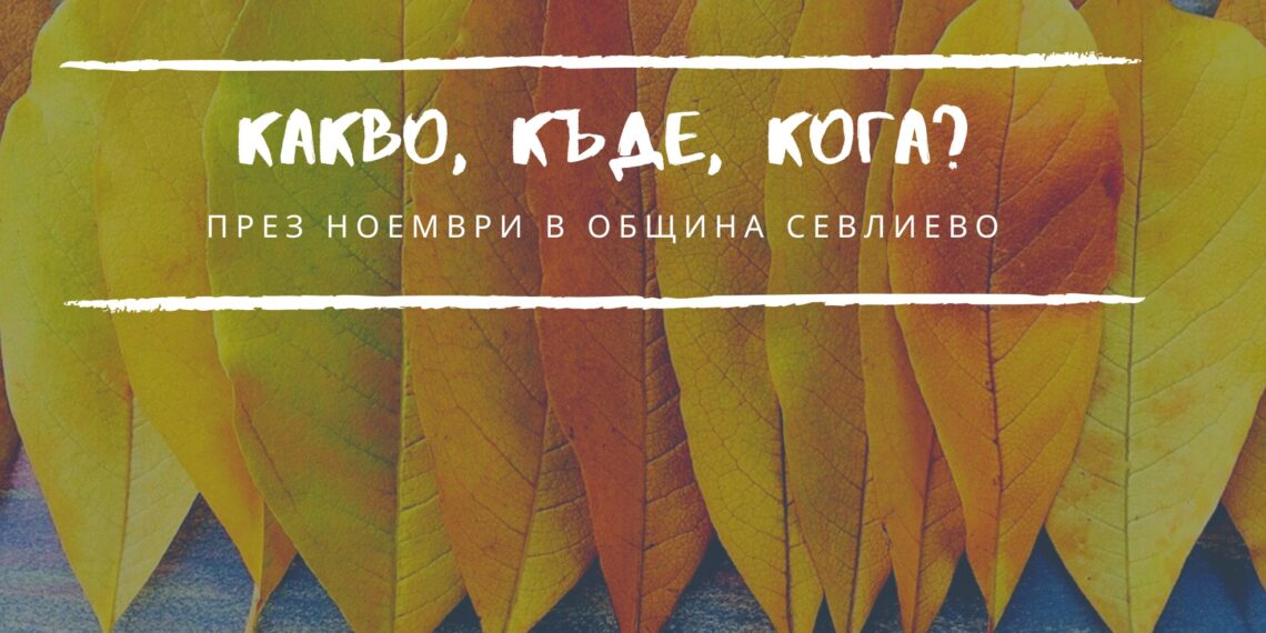 Програма на културните събития през ноември 2025 г.