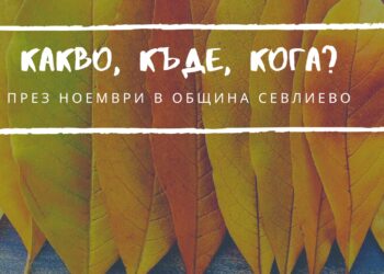 Програма на културните събития през ноември 2025 г.