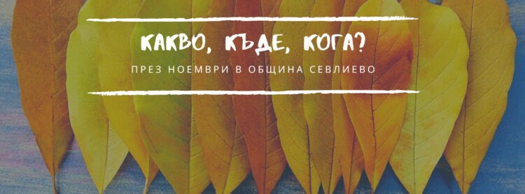 Програма на културните събития през ноември 2025 г.