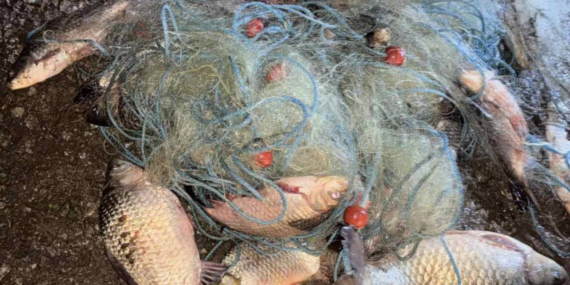 Дрон с термокамера издебна бракониер в яз. “Ал. Стамболийски”