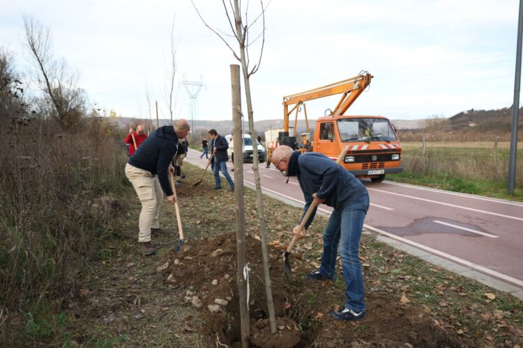 Общината и ДКЦ-1 продължават каузата за озеленяването на Севлиево