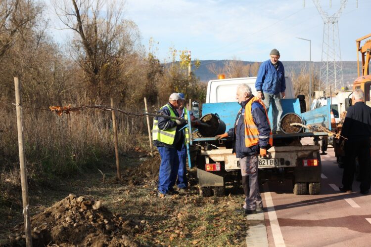 Общината и ДКЦ-1 продължават каузата за озеленяването на Севлиево
