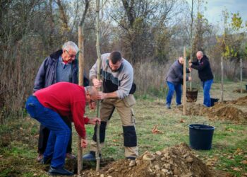 Общината и ДКЦ-1 продължават каузата за озеленяването на Севлиево