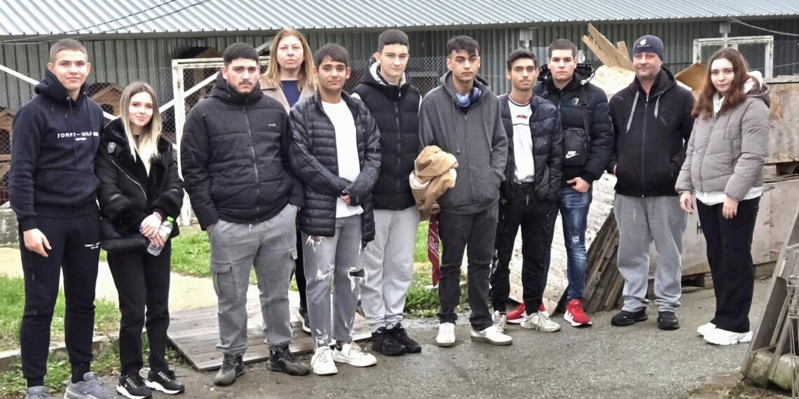 Ученици обещаха не само да събират пари за бездомни кучета, но и да се грижат за тях