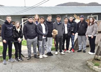 Ученици обещаха не само да събират пари за бездомни кучета, но и да се грижат за тях