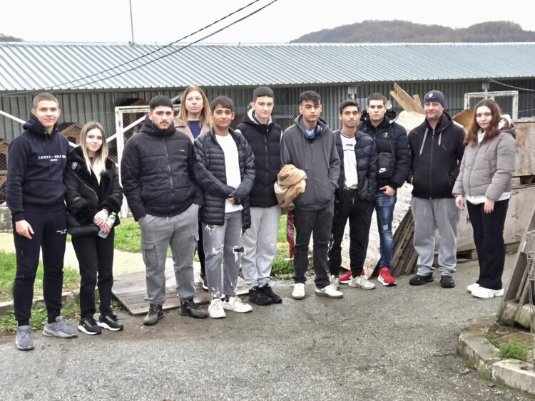 Ученици обещаха не само да събират пари за бездомни кучета, но и да се грижат за тях