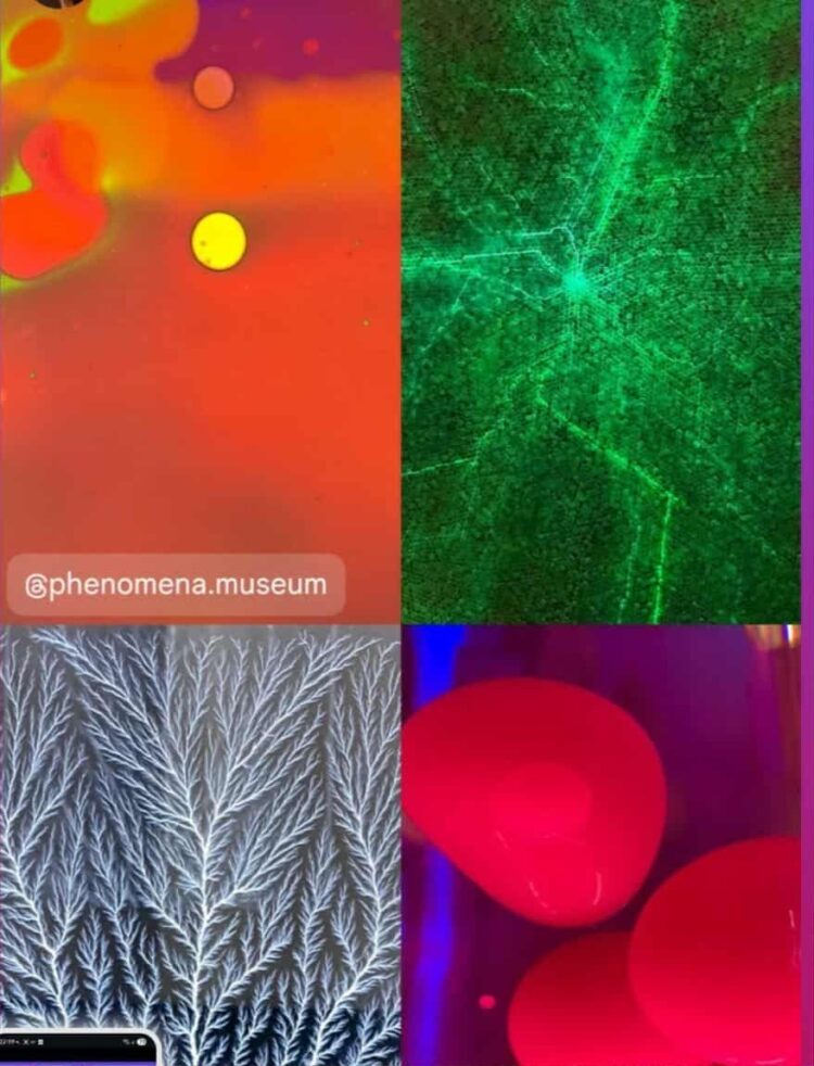 Момчето с китара от Севлиево създаде музей в София