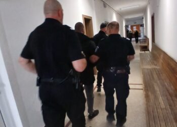 20 години строг затвор за севлиевеца, убил майка си!