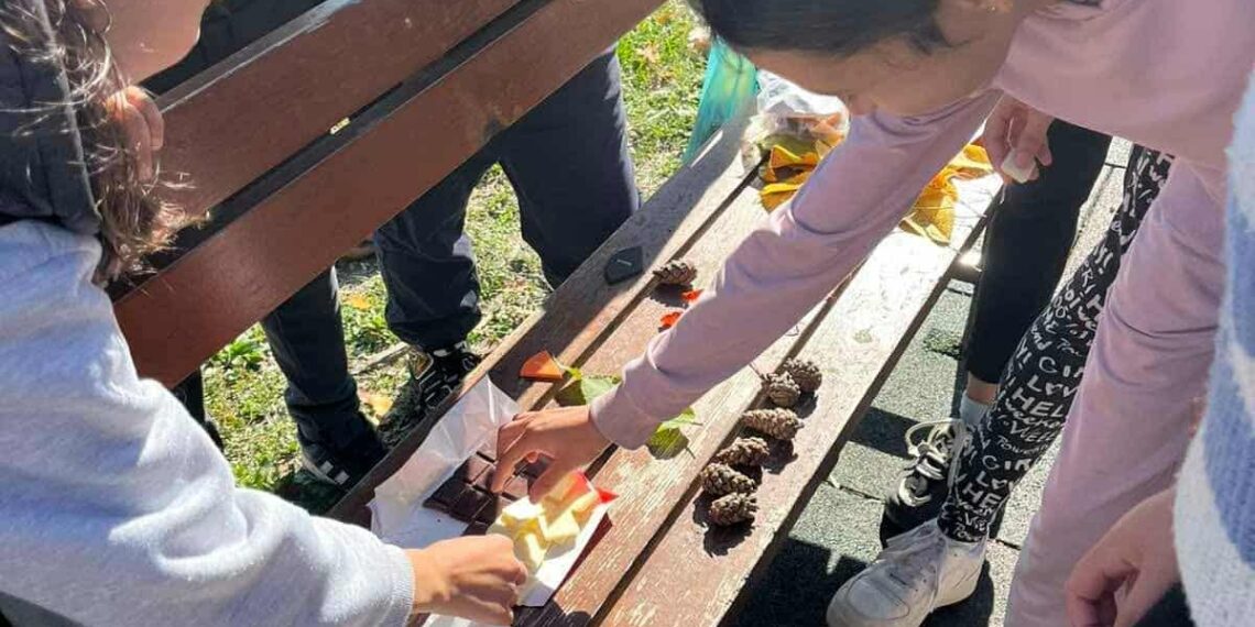 С листа, трева и камъчета решаваха дробни уравнения в Шумата