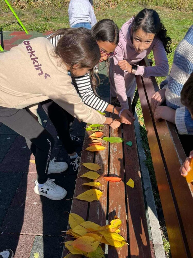 С листа, трева и камъчета решаваха дробни уравнения в Шумата