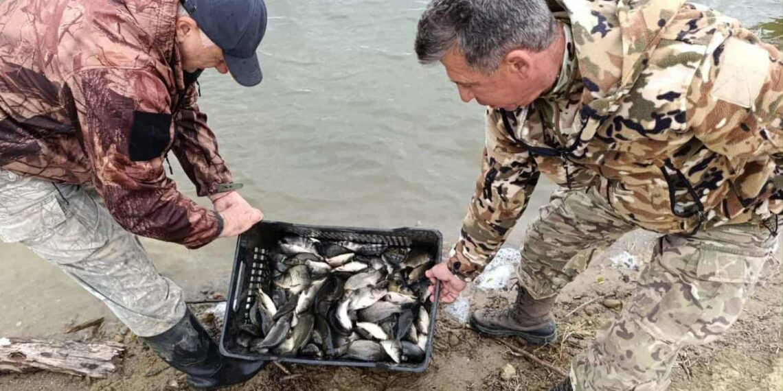 Малки шаранчета заплуваха в р. Росица и яз. “Александър Стамболийски”