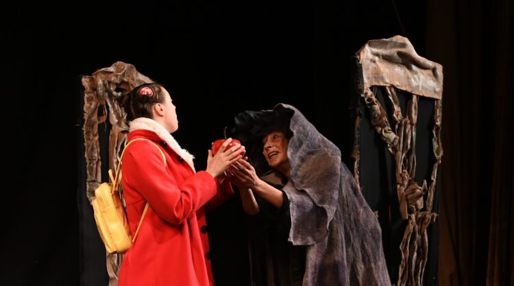 “Коледна бъркотия” забъркват актьорите на Драматичния театър