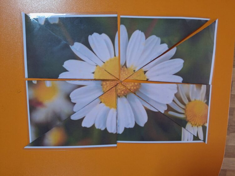 Севлиевски деца опознаха билките в час по горска педагогика