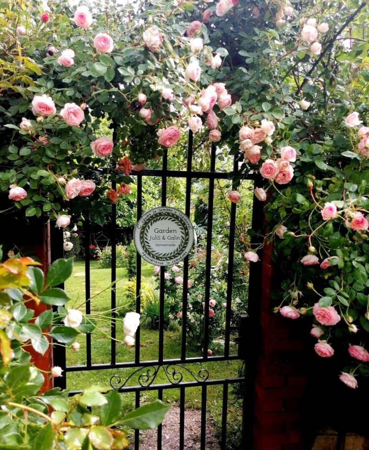 Юлия и Галин Ганчеви: “Хубаво е, когато човек намира своето място в живота и това което прави, го прави  щастлив”