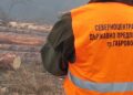 3319 проверки в горите на Северноцентрално държавно предприятие – Габрово през ноември