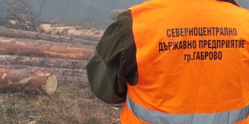 3319 проверки в горите на Северноцентрално държавно предприятие – Габрово през ноември