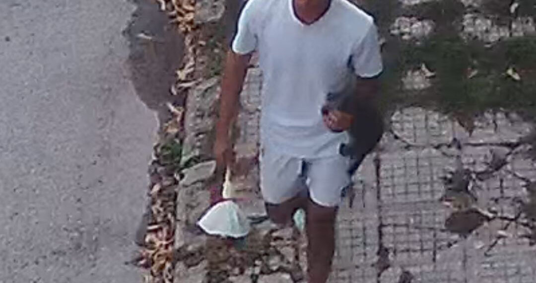 За убиеца на котето в Севлиево – 100 часа труд без заплащане и ограничения