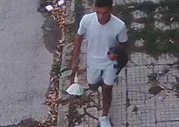 За убиеца на котето в Севлиево – 100 часа труд без заплащане и ограничения