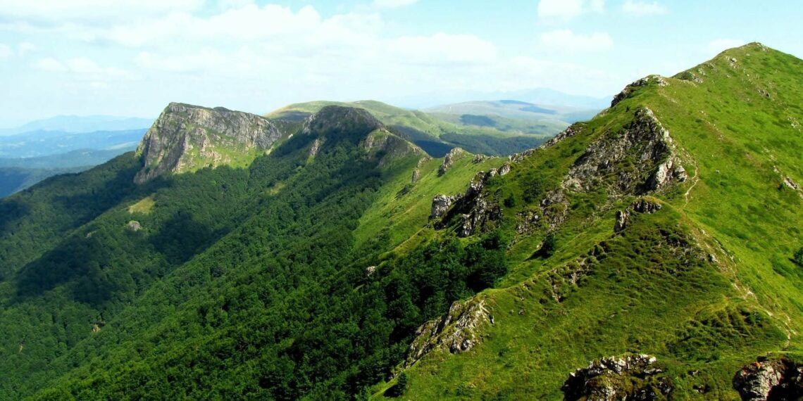 Най-младият резерват в “Централен Балкан” навърши 38 години