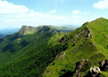 Най-младият резерват в “Централен Балкан” навърши 38 години