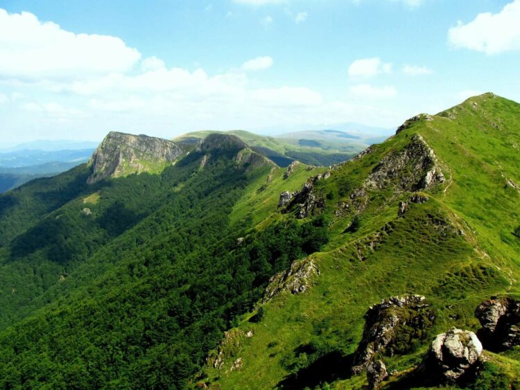 Най-младият резерват в “Централен Балкан” навърши 38 години