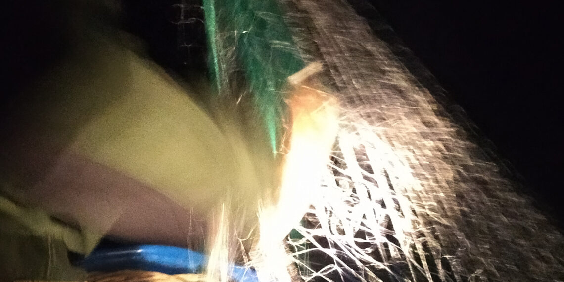 Върл бракониер поиска да бъде оправдан, но съдът реши друго