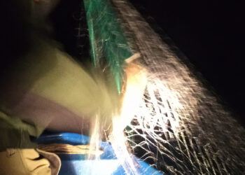 Върл бракониер поиска да бъде оправдан, но съдът реши друго