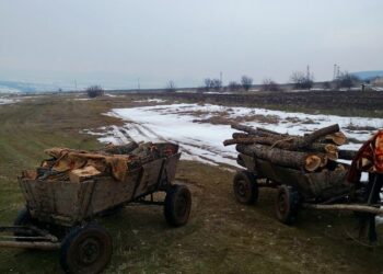 Над 25 000 проверки в горите на СЦДП-Габрово през 2025 г.