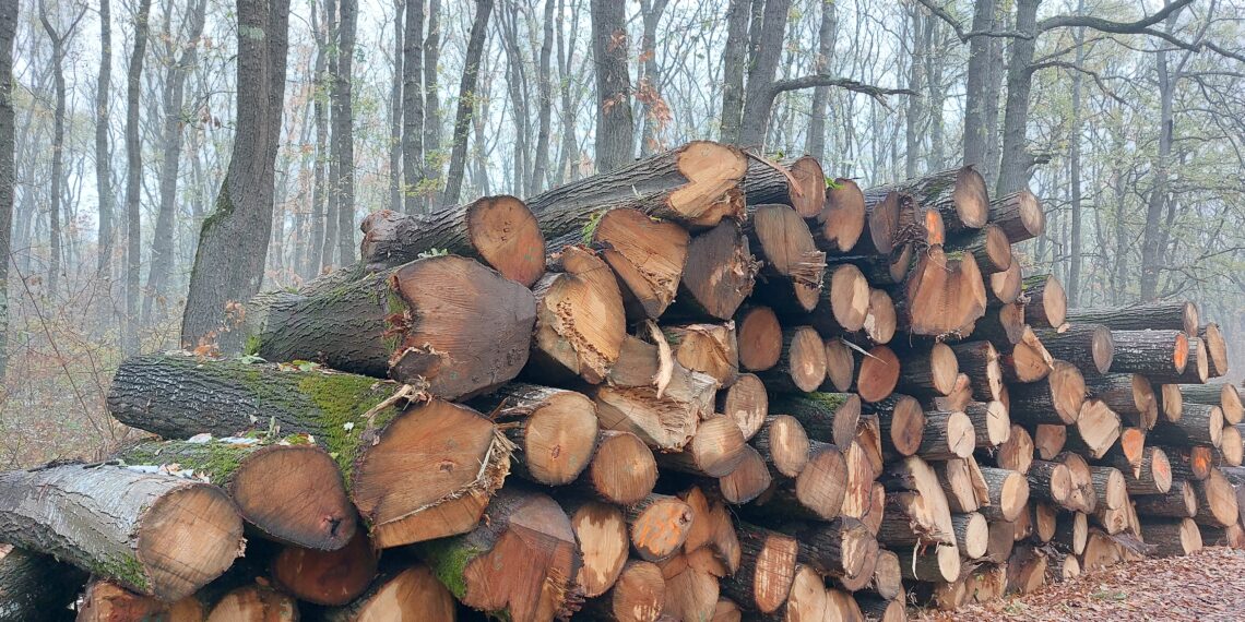 77 акта за установяване на нарушение са съставили лесовъдите от СЦДП-Габрово през месец януари