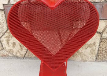 Розово сърце ще събира “Капачки за бъдеще” вече и в Градница